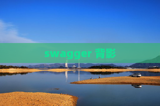 swagger 背影